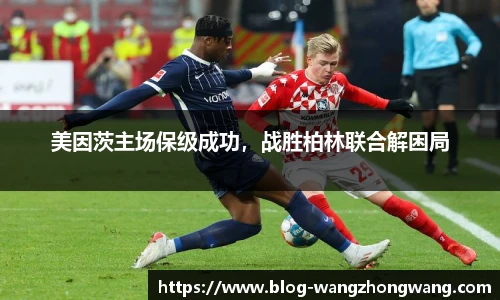 王中王官网资料