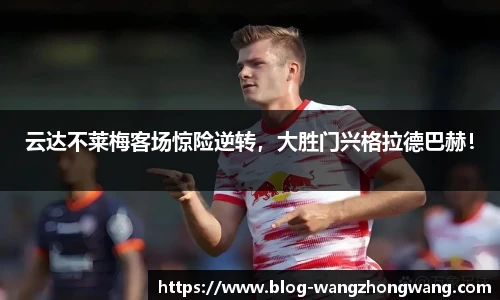 王中王资料大全