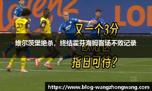 王中王官网资料