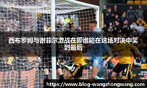 王中王资料大全