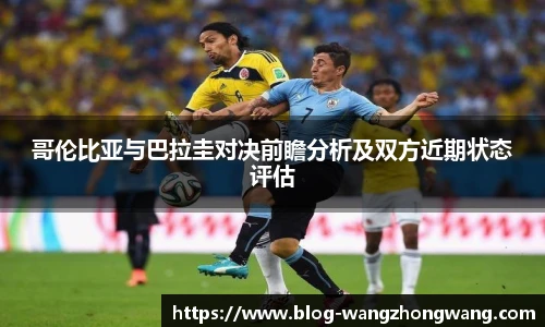 王中王资料大全