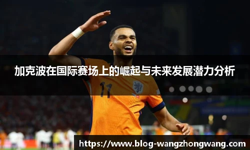 王中王资料大全